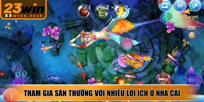 Tham gia săn thưởng với nhiều lợi ích ở nhà cái